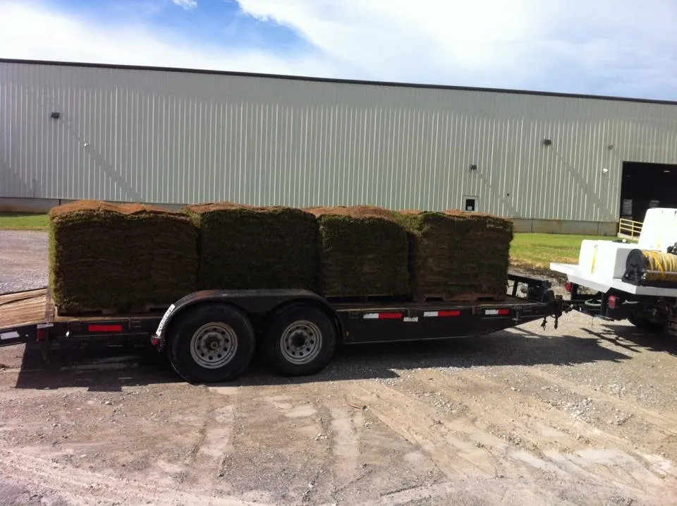 Professional landscaping services in Brownsville, TN by Woodlawn Lawn Care of Brownsville