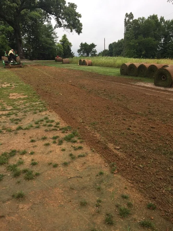 Trusted residential landscaping for beautiful yards in Brownsville, TN by Woodlawn Lawn Care of Brownsville