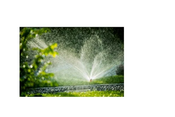 Expert lawn care service in Brownsville, TN - Woodlawn Lawn Care of Brownsville