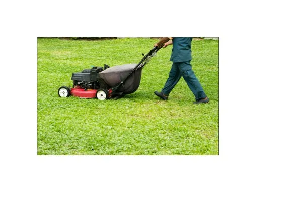 Expert landscape installation in Brownsville, TN by Woodlawn Lawn Care of Brownsville