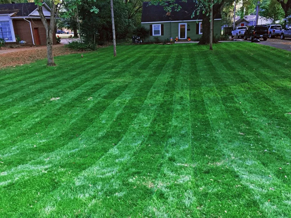 Top-rated garden landscaping for outdoor upgrades across Brownsville, TN - Woodlawn Lawn Care of Brownsville