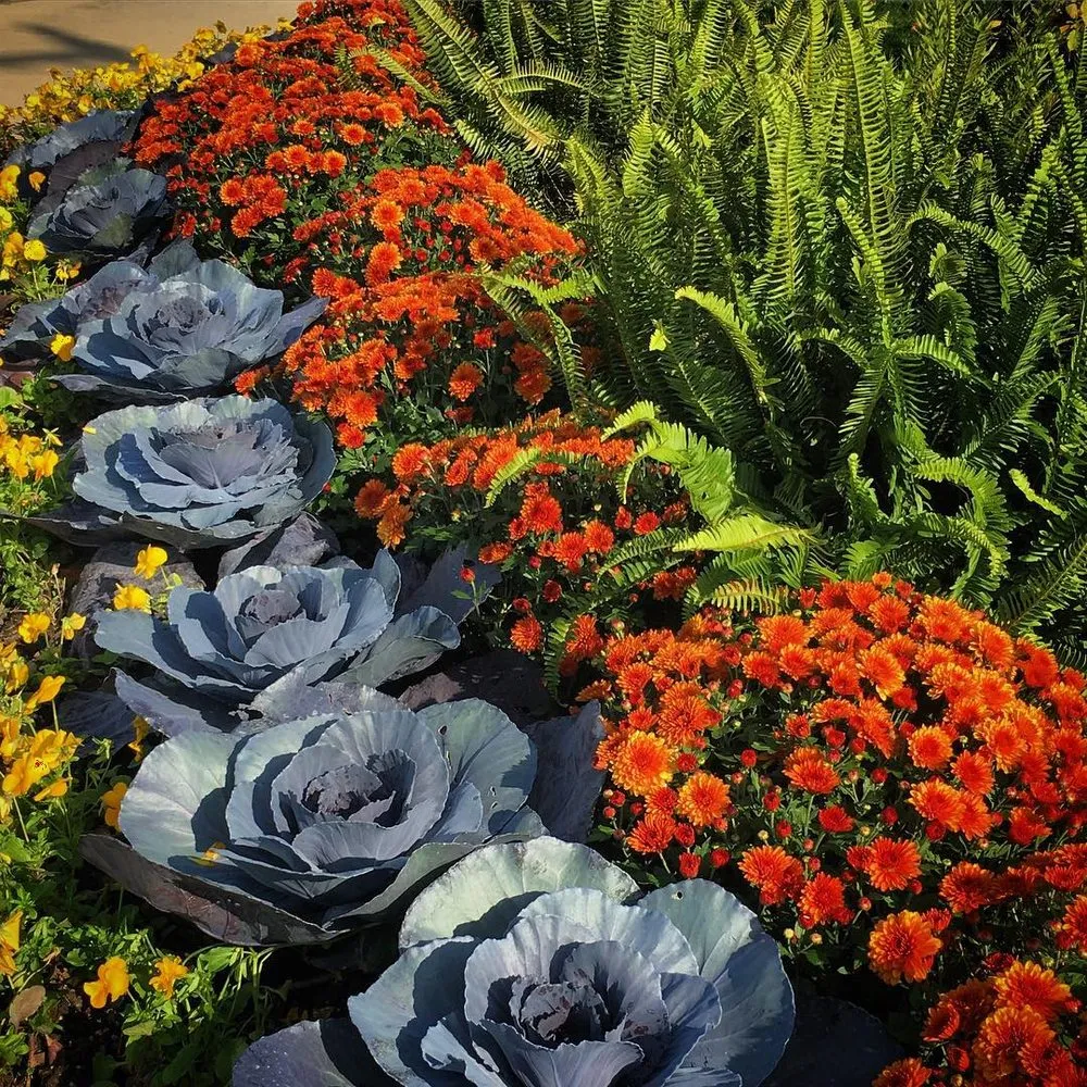 Custom landscape installation near you in Mundelein, IL by Woodlawns Landscape