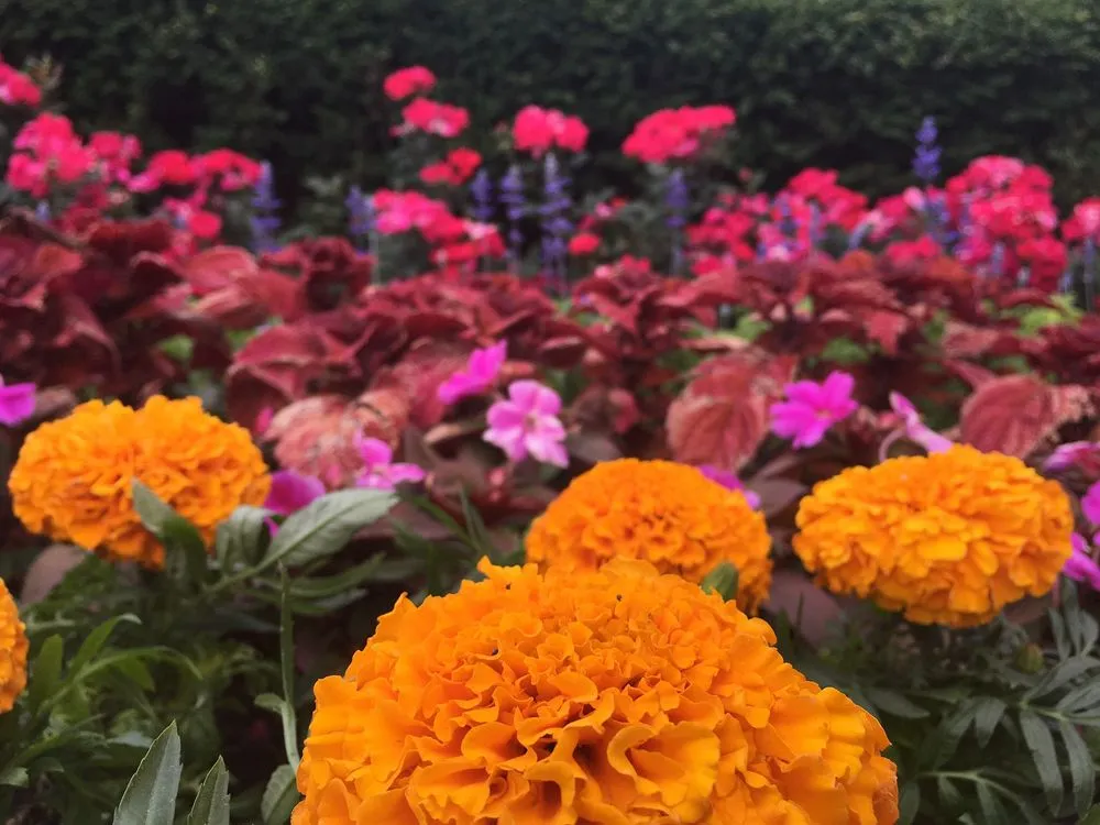 Professional outdoor landscaping near you in Mundelein, IL by Woodlawns Landscape