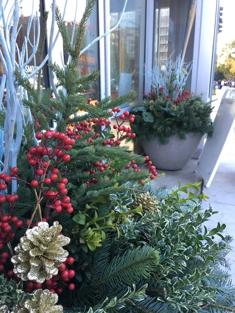 Local lawn mowing service in Mundelein, IL - Woodlawns Landscape