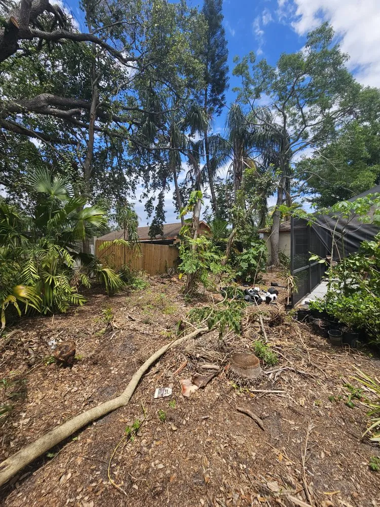 Local yard maintenance in Plant City, FL by Woodman Services & Solutions