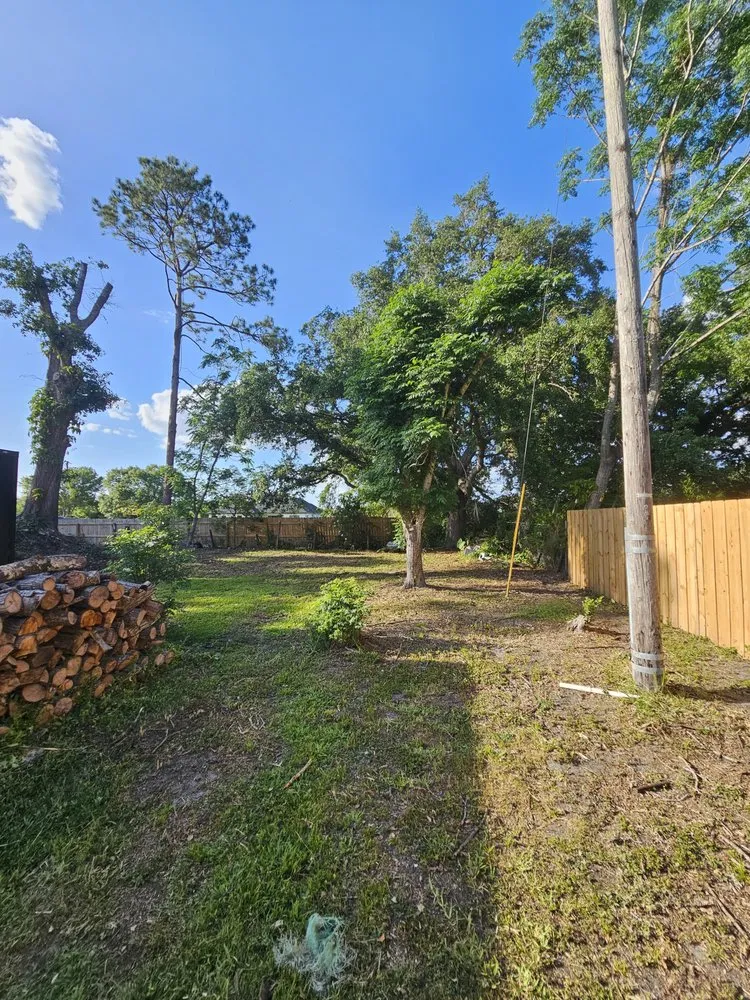 Local yard cleanup service near you across Plant City, FL - Woodman Services & Solutions