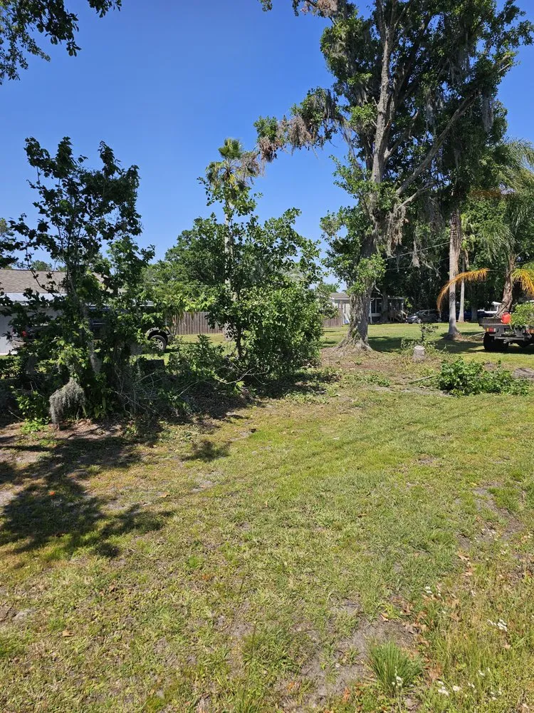 Local outdoor landscaping for outdoor upgrades across Plant City, FL - Woodman Services & Solutions