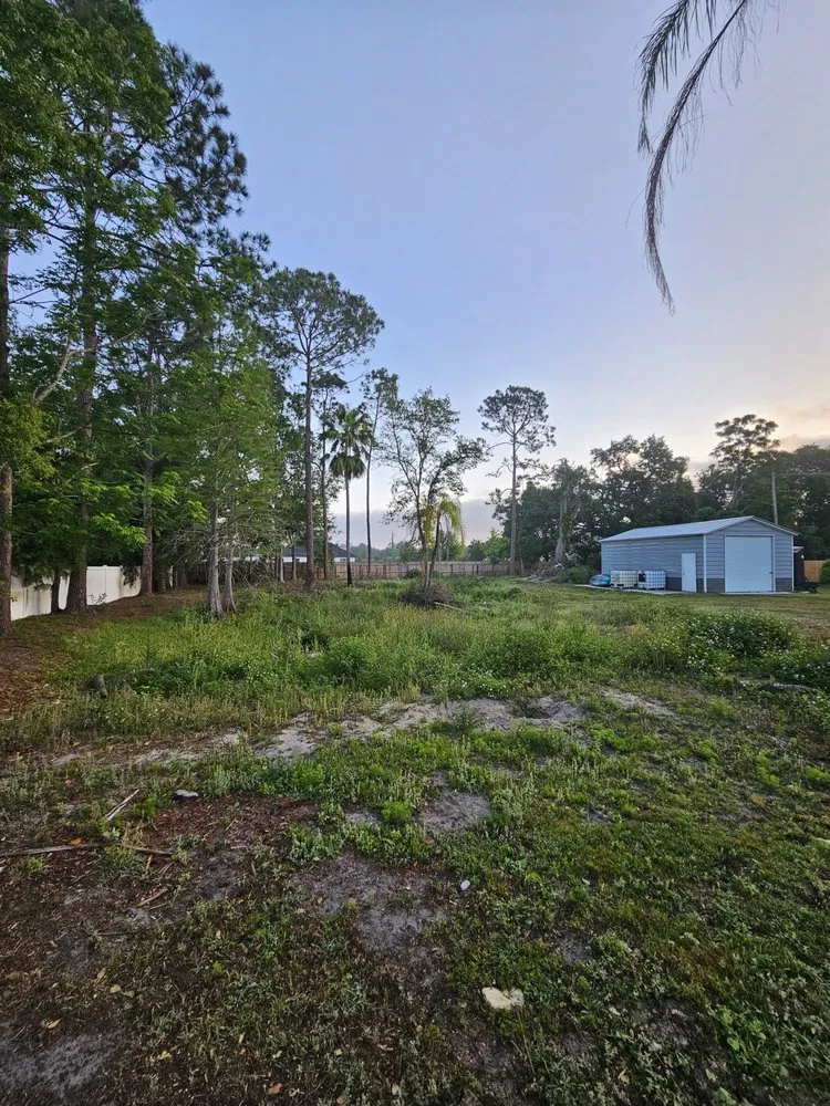 Affordable yard cleanup service experts serving Plant City, FL - Woodman Services & Solutions