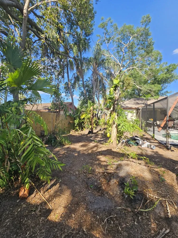 Top-rated lawn care service experts serving Plant City, FL - Woodman Services & Solutions