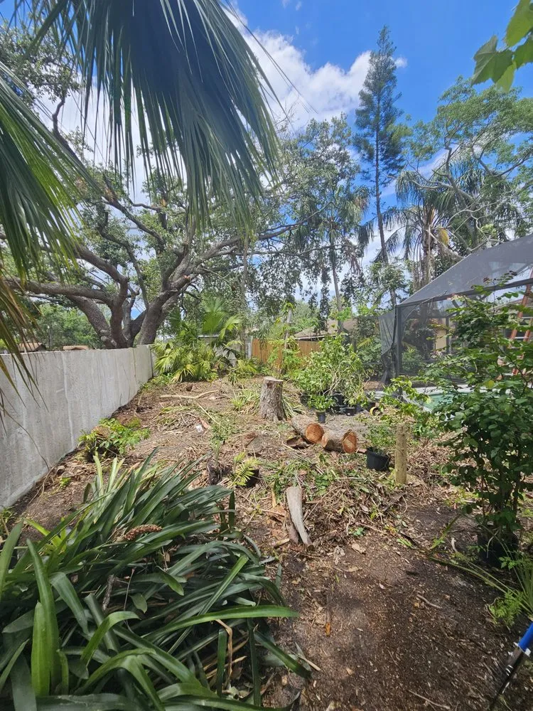 Expert landscape design in Plant City, FL by Woodman Services & Solutions