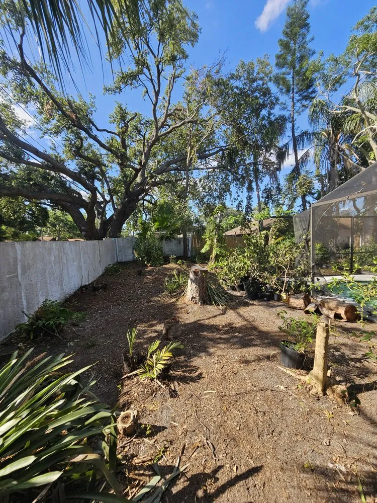 Top-rated yard maintenance experts serving Plant City, FL - Woodman Services & Solutions