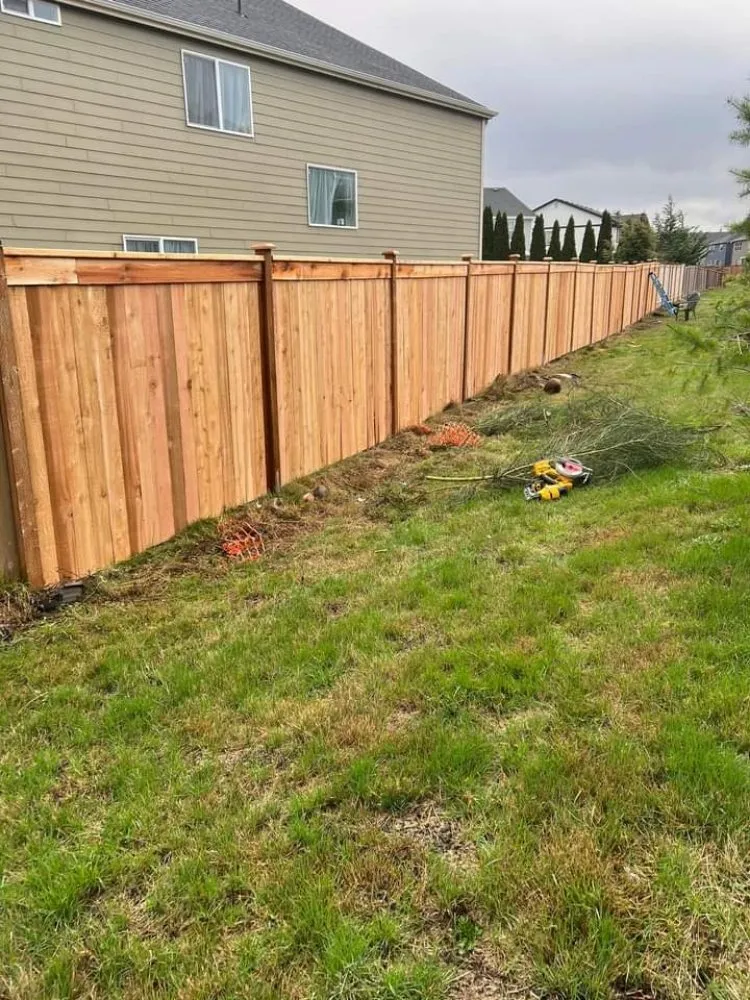 Top-rated yard maintenance in Dallas, TX - Woodpecker Fence and Landscape