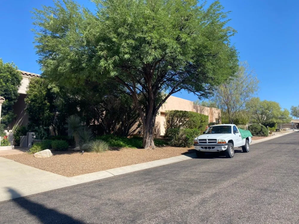 Local outdoor landscaping near you across Tucson, AZ - Woodpecker Landscaping