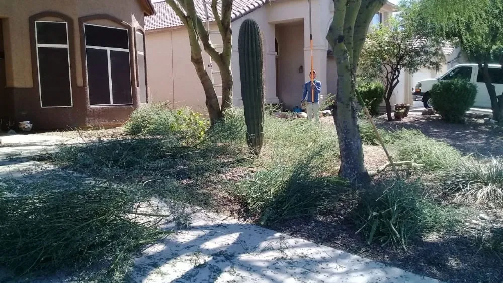 Affordable landscape design in Tucson, AZ - Woodpecker Landscaping