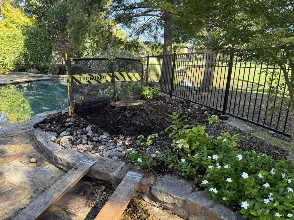 Top-rated yard maintenance experts serving Mckinney, TX - Woodpecker Stump Removal Service