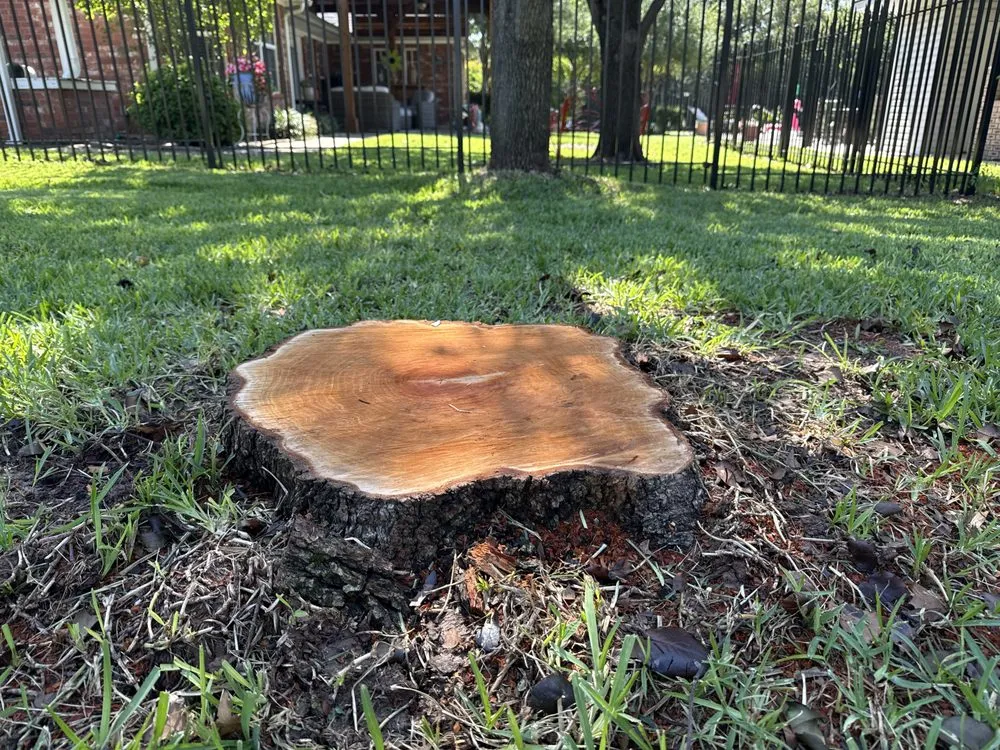 Local garden landscaping for year-round maintenance across Mckinney, TX - Woodpecker Stump Removal Service