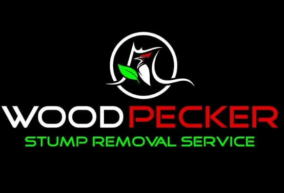 Affordable outdoor landscaping in Mckinney, TX - Woodpecker Stump Removal Service