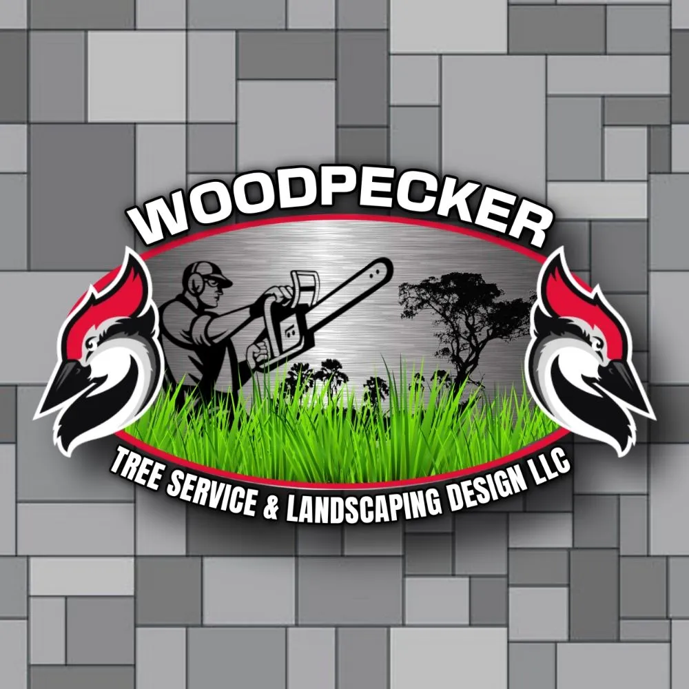 Professional landscape installation in Las Vegas, NV by Woodpecker Tree Service & Landscaping Design