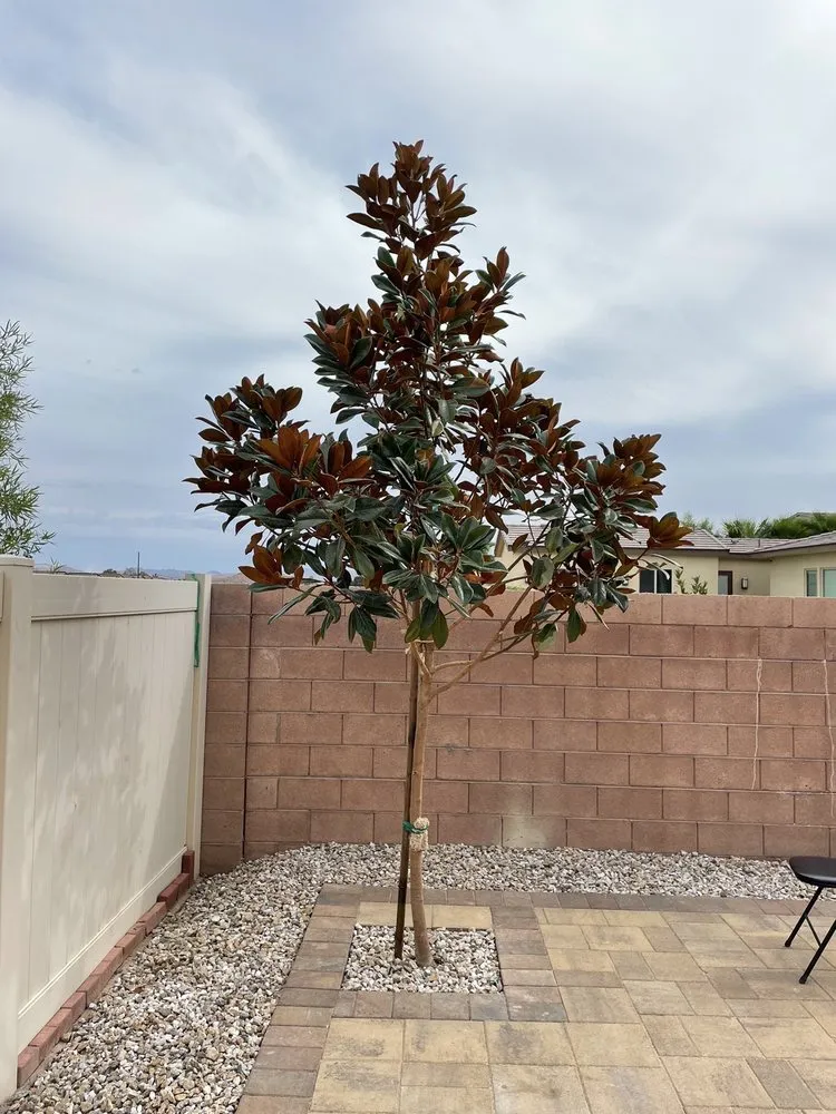 Custom lawn mowing service for outdoor upgrades in Las Vegas, NV by Woodpecker Tree Service & Landscaping Design