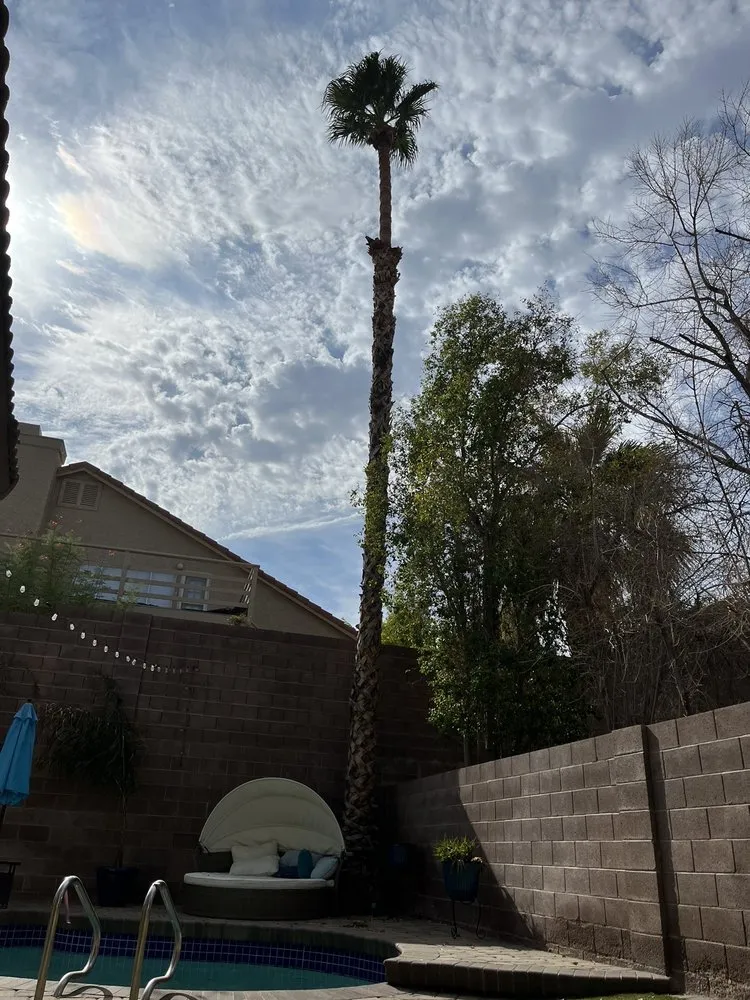 Top-rated lawn mowing service in Las Vegas, NV by Woodpecker Tree Service & Landscaping Design