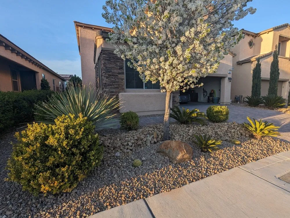 Top-rated garden landscaping experts serving Las Vegas, NV - Woodpecker Tree Service & Landscaping Design