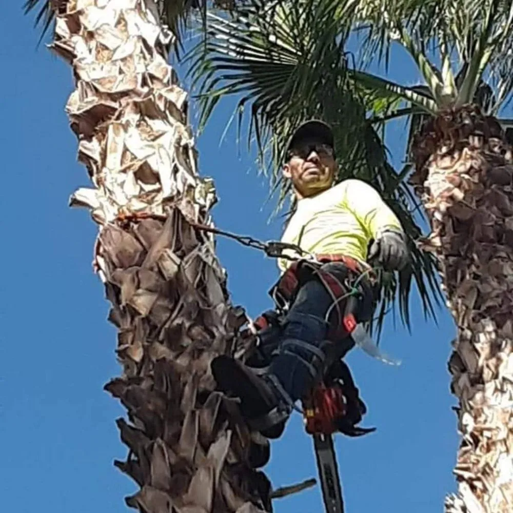 Custom garden landscaping for residential properties across Las Vegas, NV - Woodpecker Tree Service & Landscaping Design