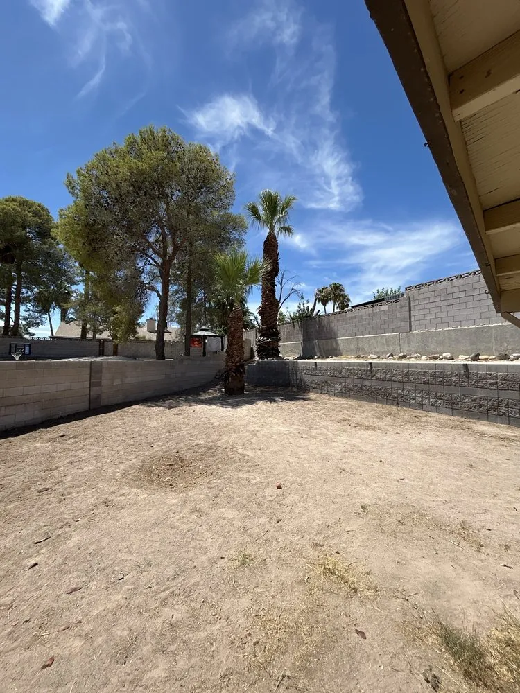 Expert landscape design in Las Vegas, NV by Woodpecker Tree Service & Landscaping Design