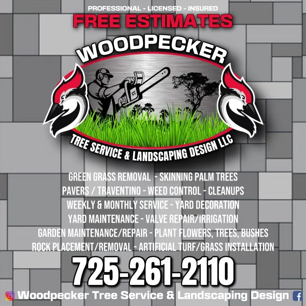 Trusted landscape installation with custom design in Las Vegas, NV by Woodpecker Tree Service & Landscaping Design