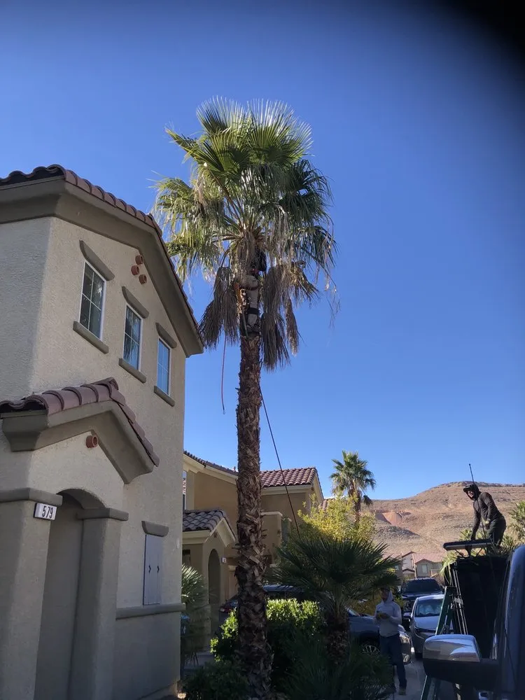 Custom landscape installation in Las Vegas, NV - Woodpecker Tree Service & Landscaping Design