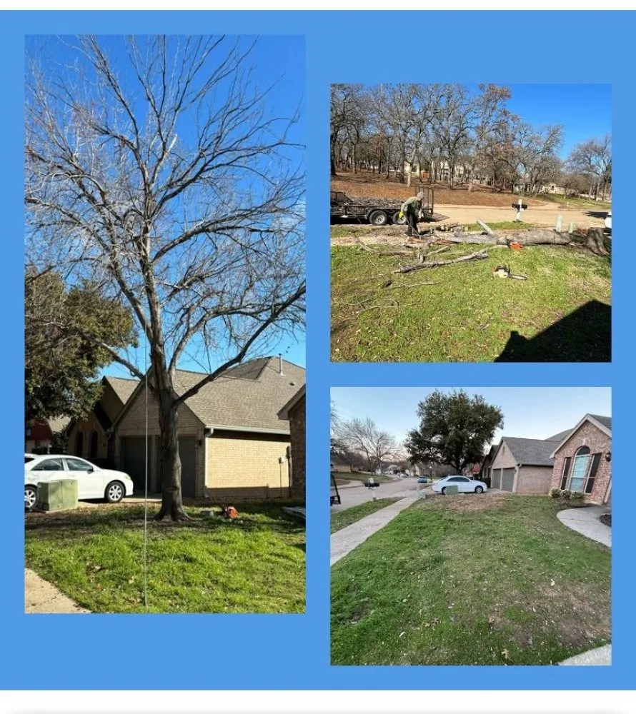 Affordable garden landscaping in Denton, TX by Woodpecker Tree Service and Fence