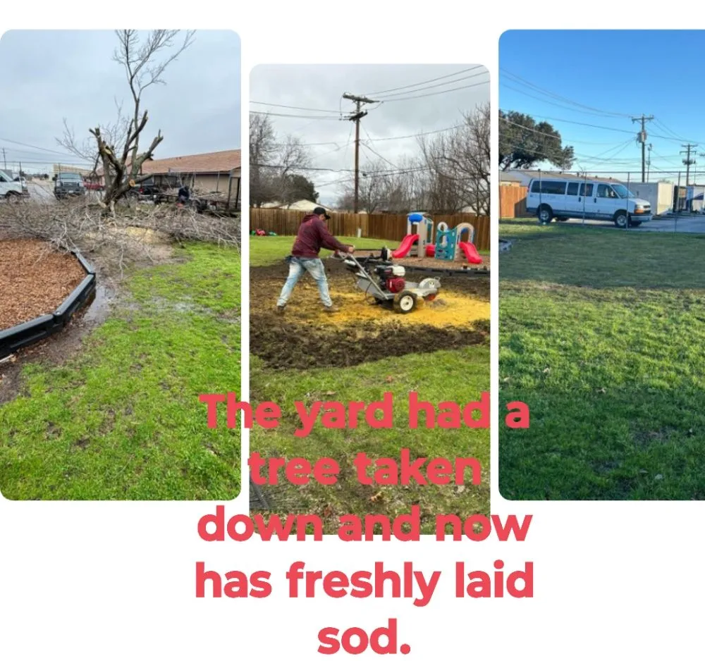 Custom yard cleanup service for outdoor upgrades in Denton, TX by Woodpecker Tree Service and Fence