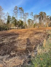 Custom landscape design for outdoor upgrades in Fredericksburg, VA by Woodpeckers Tree Service & Landscaping