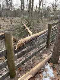 Custom residential landscaping in Fredericksburg, VA by Woodpeckers Tree Service & Landscaping