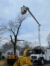 Woodpeckers Tree Service & Landscaping Logo