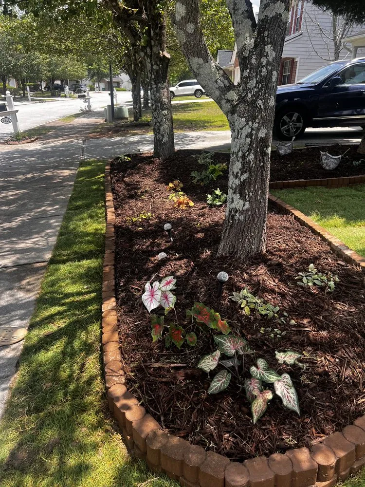 Professional lawn care service in Lawerenceville, GA by WoodRaven Landscape