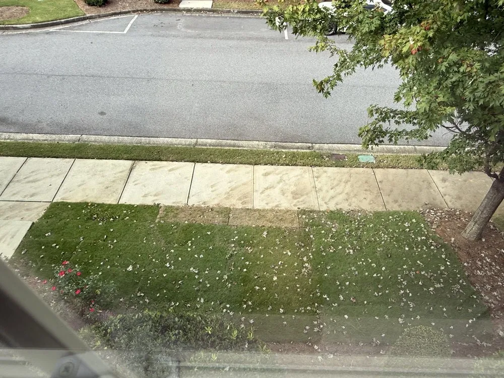 Top-rated lawn care service experts serving Lawerenceville, GA - WoodRaven Landscape