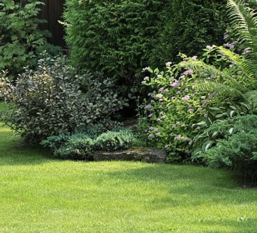 Top-rated yard maintenance experts serving Woodstock, GA - Woodruffs Landscaping