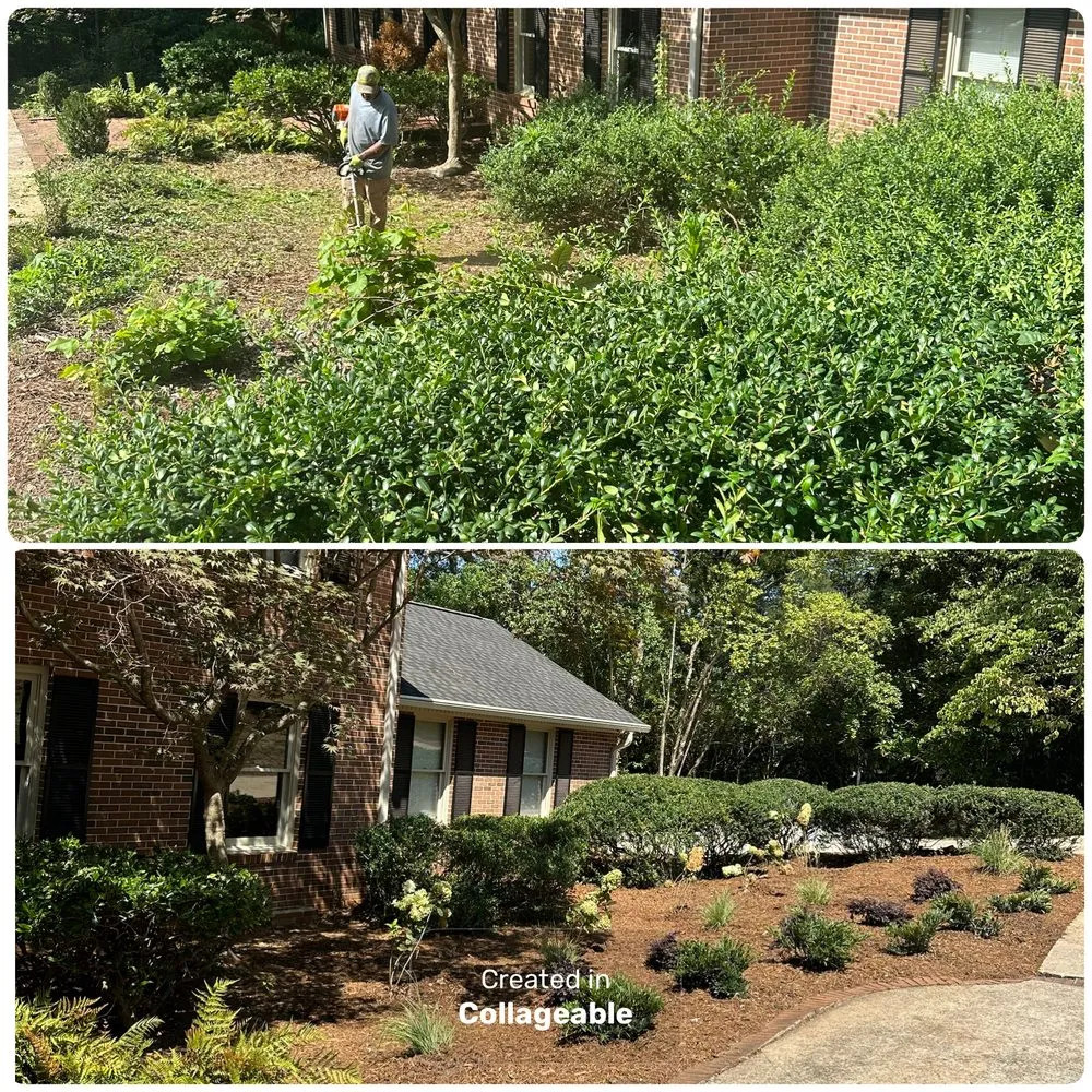 Local landscape design in Spartanburg, SC - Woodruff's Lawn Care Service