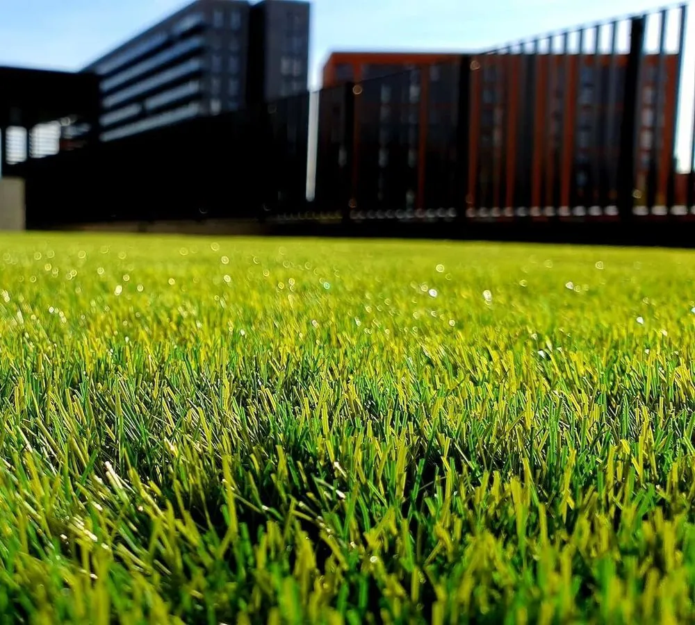 Top-rated landscape design in Woods Cross, UT - Woods Cross Artificial Grass