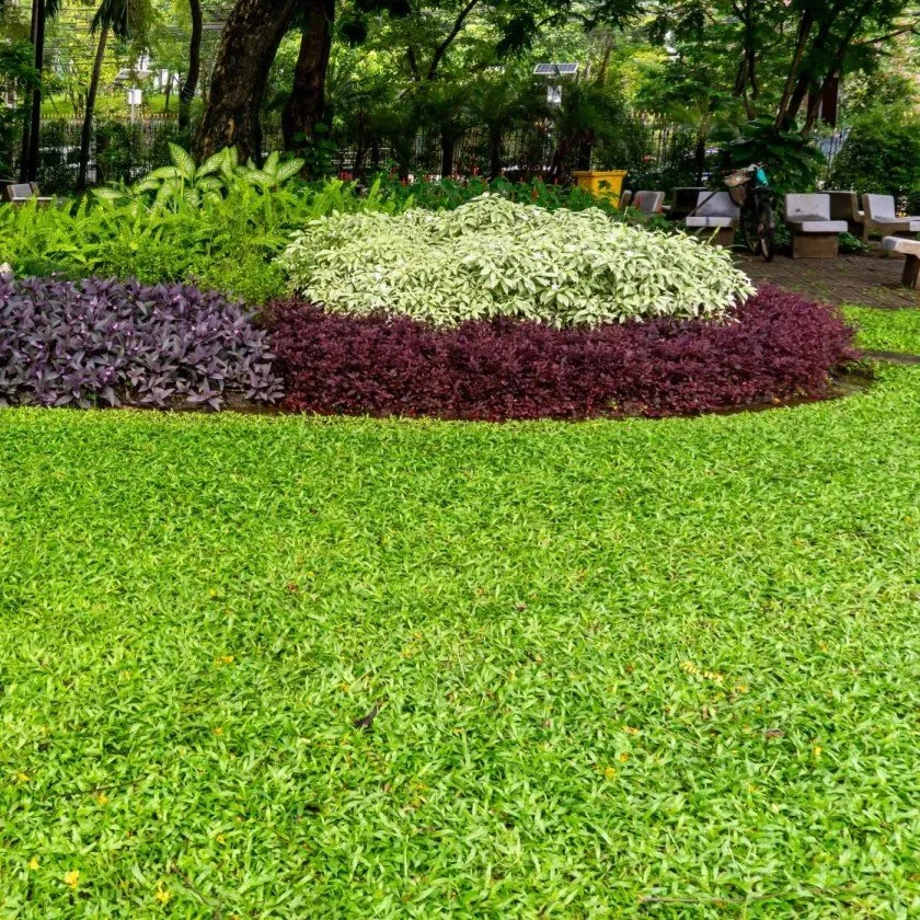 Top-rated yard cleanup service in Woods Cross, UT - Woods Cross Artificial Grass