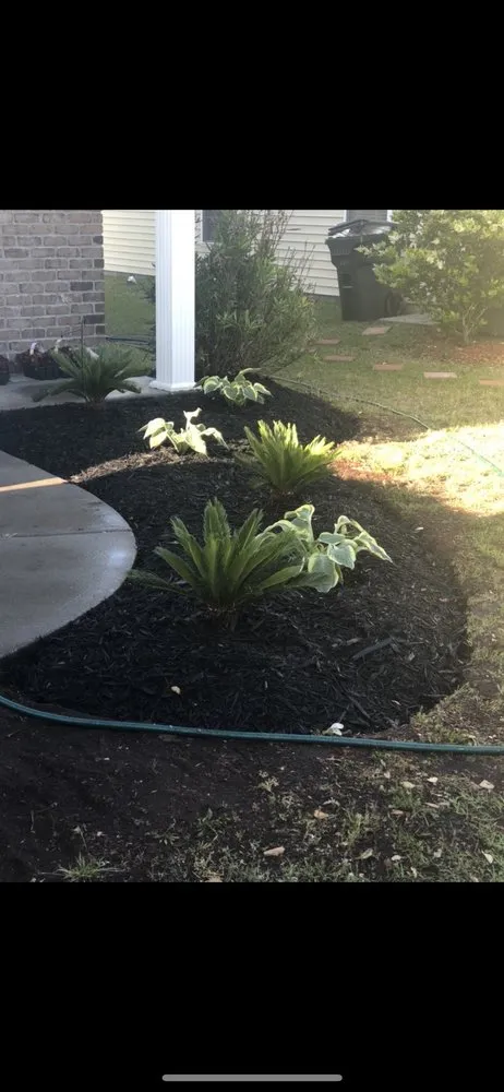 Affordable landscaping services in Liberty, NC by woods cutting edge