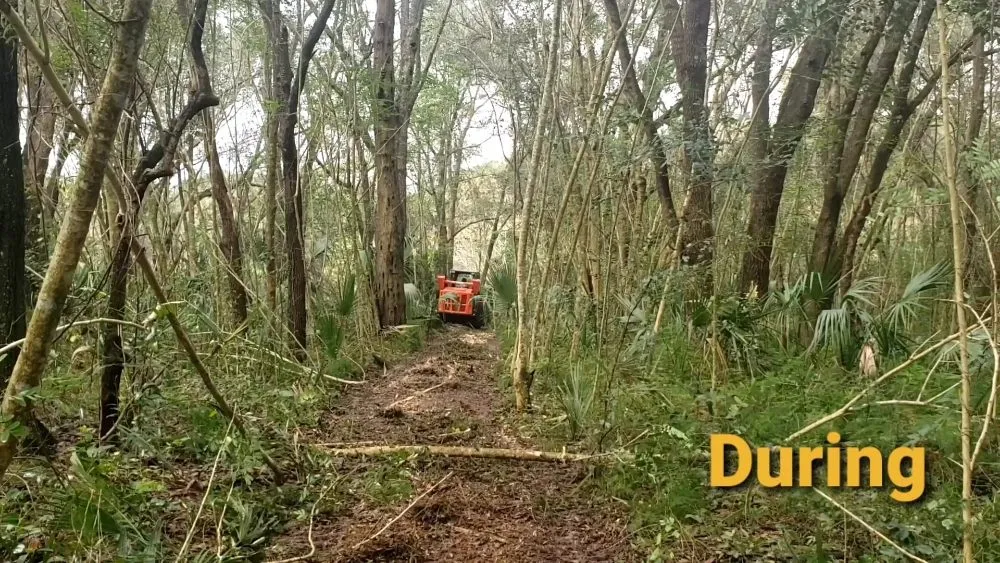 Trusted garden landscaping experts serving Weirsdale, FL - Woods Forestry Mulching and Land Services