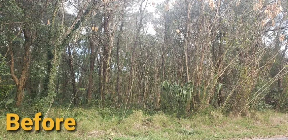 Custom lawn mowing service in Weirsdale, FL - Woods Forestry Mulching and Land Services