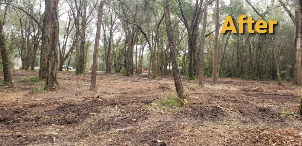 Affordable lawn care service in Weirsdale, FL - Woods Forestry Mulching and Land Services