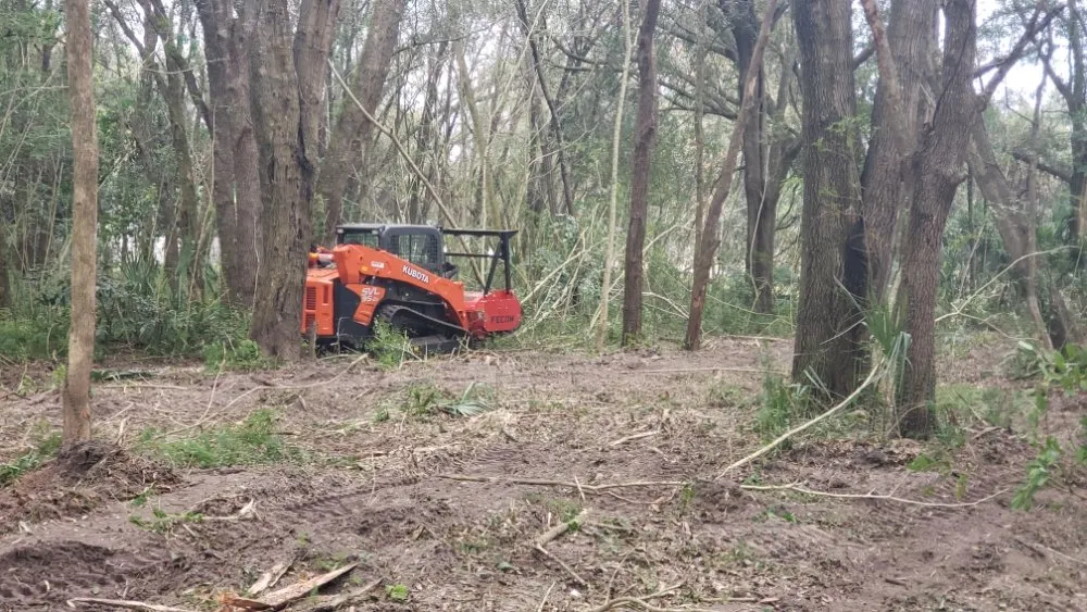 Trusted yard cleanup service in Weirsdale, FL - Woods Forestry Mulching and Land Services
