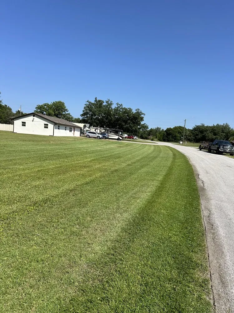 Local yard cleanup service near you in Dade City, FL by Woods Home Services