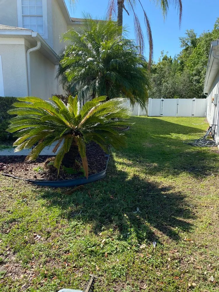 Trusted outdoor landscaping for outdoor upgrades across Dade City, FL - Woods Home Services