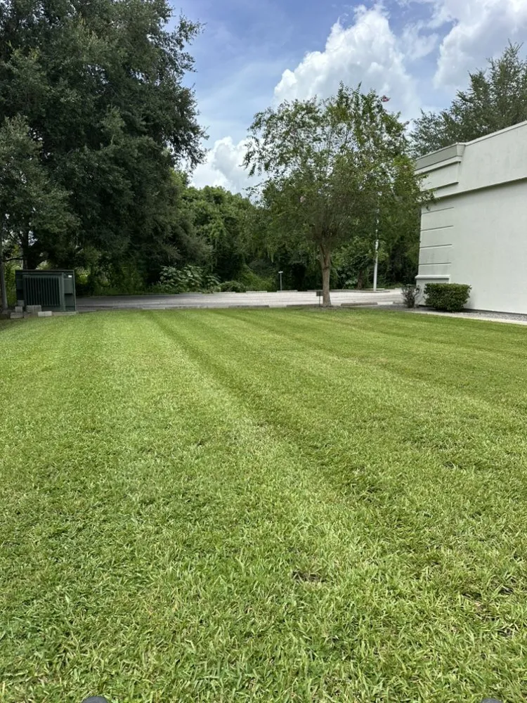 Reliable landscape installation experts serving Dade City, FL - Woods Home Services