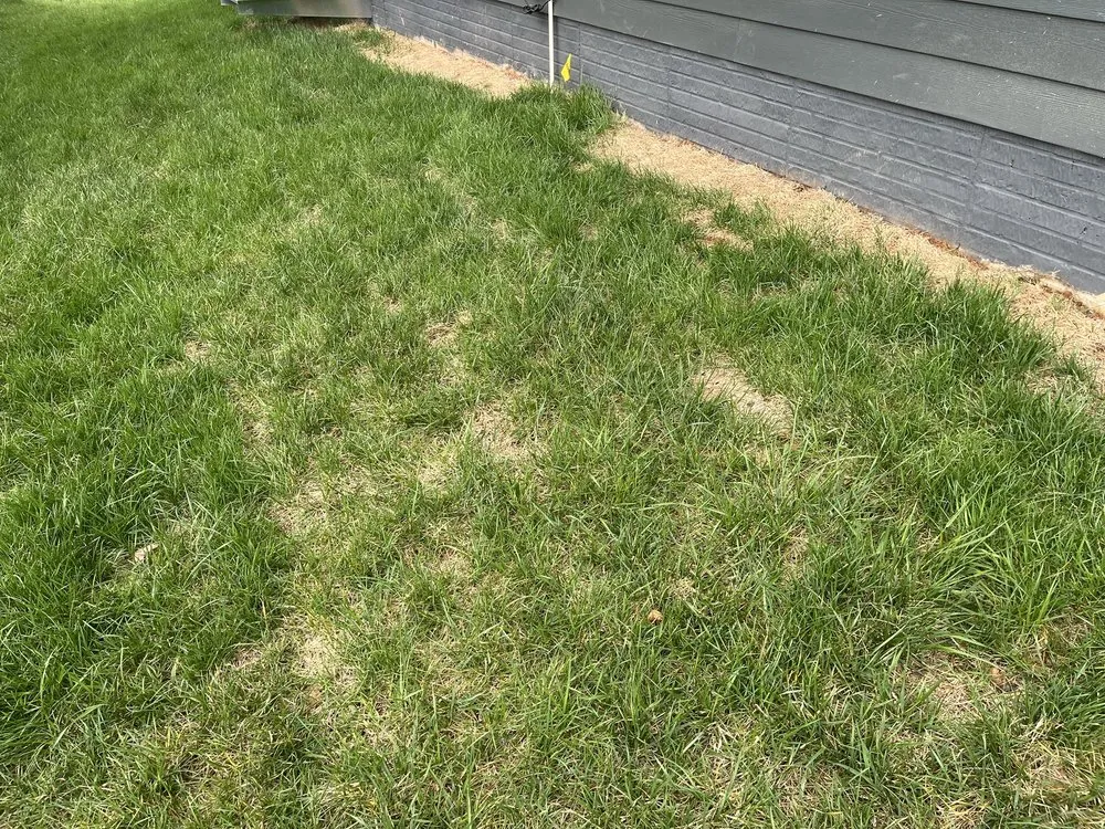 Custom residential landscaping near you in Fort Worth, TX by Wood's Landscape & Sprinkler Services