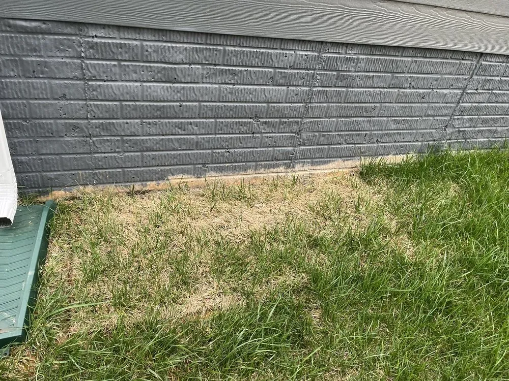 Reliable landscaping services near you in Fort Worth, TX by Wood's Landscape & Sprinkler Services